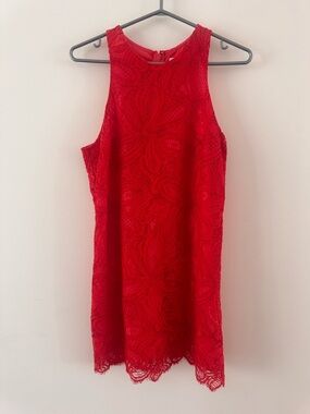 Babaton Red Lace Henry Dress